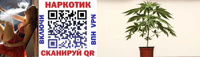 Купить закладку Дигора Конопля COCAIN А ПВП Меф мяу мяу Гашиш