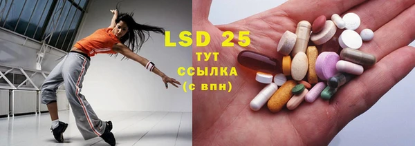 шишки Баксан